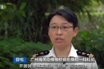 另類寵物風(fēng)潮“興起”？廣州海關(guān)嚴打“異寵”非法入境，截獲非法入境“異寵”400多頭