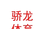 烏魯木齊驕龍體育俱樂部（有限責任公司）