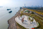 南京江北新區(qū)揚(yáng)子江生態(tài)公園“梧桐語”小型城市客廳建成了，快來打卡！
