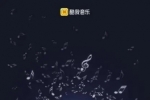 酷我音樂(lè)進(jìn)行音質(zhì)音效升級(jí)，讓聆聽成為一種享受