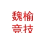 山西魏榆競技足球俱樂部有限公司