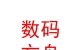 西藏?cái)?shù)碼方舟信息科技有限公司
