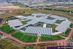 甘肅靖遠：打好“四張牌” 構(gòu)建現(xiàn)代產(chǎn)業(yè)體系
