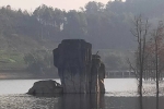 重慶萬盛青山湖濕地公園12月景色