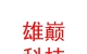 西藏雄巔科技發(fā)展有限公司