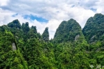 湖北七姊妹山國(guó)家級(jí)自然保護(hù)區(qū)入選世界自然保護(hù)聯(lián)盟綠色名錄