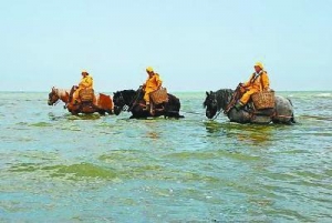 歐洲北海沿岸騎馬捕蝦