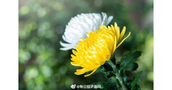 馬來西亞推防疫祭品禮盒，包括紙質(zhì)口罩、洗手液......