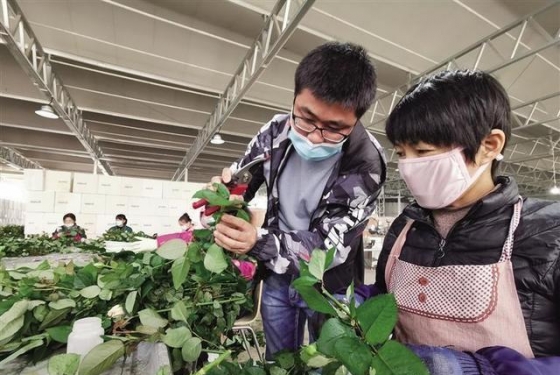 從農(nóng)民到產(chǎn)業(yè)工人，蘭州新區(qū)9000余名莊稼漢走上致富路