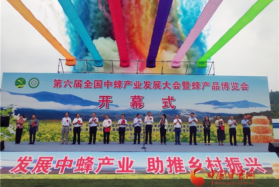 第六屆全國中蜂產(chǎn)業(yè)發(fā)展大會(huì)暨蜂產(chǎn)品博覽會(huì)在隴南兩當(dāng)開幕 ...