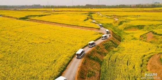 河北：高質(zhì)量建設(shè)現(xiàn)代農(nóng)業(yè)產(chǎn)業(yè)園