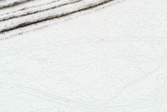 罕見！巴西數(shù)十座城市降雪，當(dāng)?shù)厥忻耋@呼：這輩子頭一次