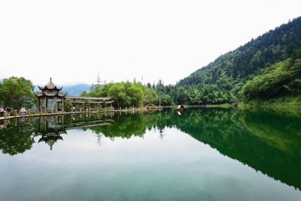 甘肅隴南：做活一個產(chǎn)業(yè)，造富一方百姓