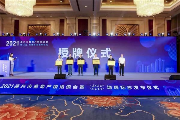 小葡萄“串”起大產(chǎn)業(yè)！嘉興發(fā)布兩個葡萄地理標(biāo)志