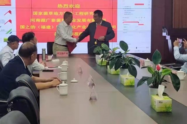 豫閩兩地企業(yè)合作打造生態(tài)產(chǎn)業(yè)示范基地 助力黃河菌草生態(tài)鏈建設(shè) ...