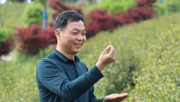 聚焦地標(biāo)農(nóng)產(chǎn) 建設(shè)產(chǎn)業(yè)鏈普惠新生態(tài) ——茶香源自"活水"來(lái) ...