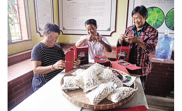 重慶榮昌：特色產(chǎn)業(yè)遍地開(kāi)花 集體經(jīng)濟(jì)生機(jī)勃勃