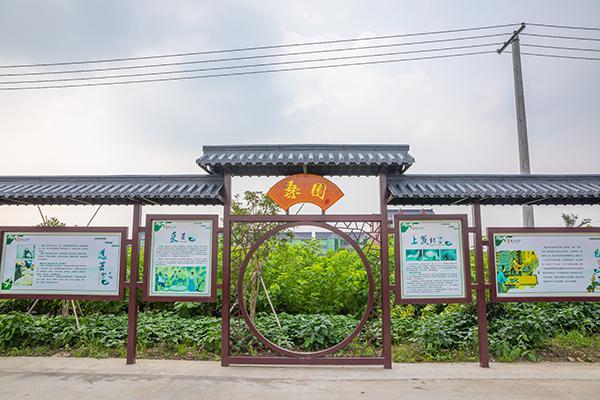 德清“牽手”長(zhǎng)三角品牌帶動(dòng)全域共富 讓傳統(tǒng)產(chǎn)業(yè)“破繭成蝶” ...