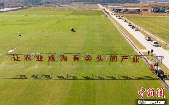 走進(jìn)南京農(nóng)業(yè)大學(xué)特色產(chǎn)業(yè)基地鏡觀“小草坪大產(chǎn)業(yè)”