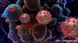 美國佛州一地在廢水中發(fā)現(xiàn)新冠病毒 且?guī)缀?00%都是奧密克戎毒株 ...