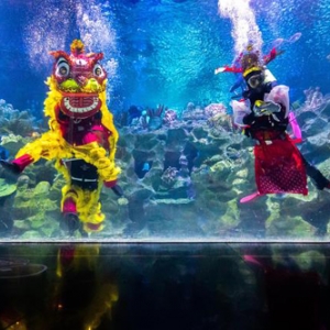吉隆坡：水中舞獅賀新年