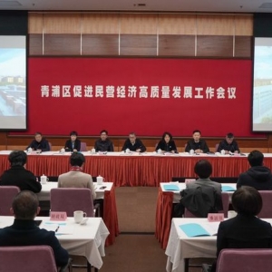 推進(jìn)民營經(jīng)濟(jì)高質(zhì)量發(fā)展 上海青浦實施產(chǎn)業(yè)鏈“鏈長制”