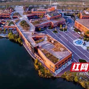 新區(qū)企業(yè)說④丨前行科創(chuàng)：打造產(chǎn)業(yè)賦能場 讓科創(chuàng)星火更“燃” ...