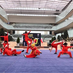 伊朗舉辦首屆武術(shù)節(jié)