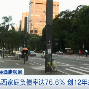 買必需品，用“賒購卡”？這里家庭負(fù)債率刷新紀(jì)錄→