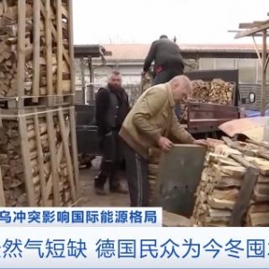 德國民眾為今冬囤木柴：燃?xì)馊∨豢煽?，壁爐受追捧