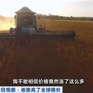 美國、巴西、歐盟3億噸糧食變?nèi)剂?！全球人均可支配糧食有多少，數(shù)據(jù)預(yù)測→ ...