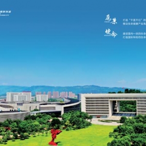 重慶兩江新區(qū)發(fā)布生命健康產(chǎn)業(yè)重磅支持政策多項千萬級獎勵 最高上億支持 ...