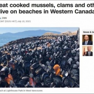 印度最近很反常，這是對全人類的一個警訊！