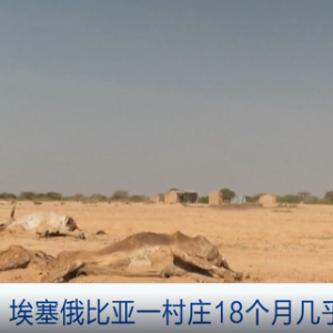 非洲多地遭遇數(shù)十年來最嚴(yán)重旱災(zāi)！一村莊18個月幾乎無降雨