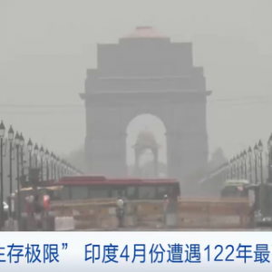 “考驗(yàn)生存極限”！印度遭遇122年來(lái)最強(qiáng)熱浪，或考慮限制小麥出口 ...