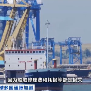 俄烏危機(jī)重創(chuàng)黑海航運(yùn)業(yè) 小規(guī)模企業(yè)恐面臨倒閉風(fēng)險(xiǎn)