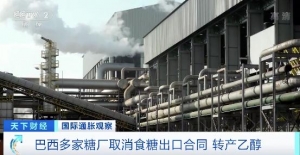 取消食糖出口合同！為賺取更多利潤(rùn)，巴西多家糖廠不惜毀約轉(zhuǎn)產(chǎn)乙醇 ...