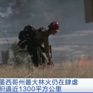 過火面積逼近1300平方公里！新墨西哥州林火由美國(guó)林業(yè)局引燃…… ...