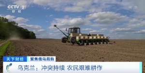沖突持續(xù) 烏克蘭農(nóng)業(yè)部：今年播種面積將下滑20%