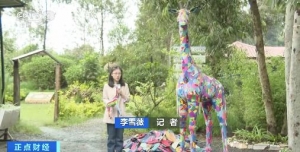 廢棄拖鞋變工藝品！肯尼亞回收利用廢棄“人字拖”，為民眾提供了超1000個就業(yè)崗位 ...