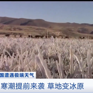 南半球部分國家寒潮來襲！秘魯氣溫降到-21℃ 牧草被冰封…… ...