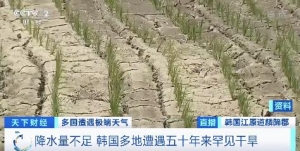 水稻枯萎，湖泊幾近干涸！韓國多地正經歷近五十年罕見干旱→ ...