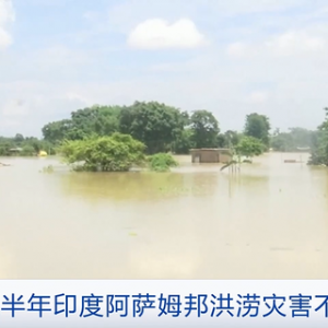 印度阿薩姆邦洪水已致131人死亡！災(zāi)區(qū)缺飲用水、缺食物，暴發(fā)疾病…… ...