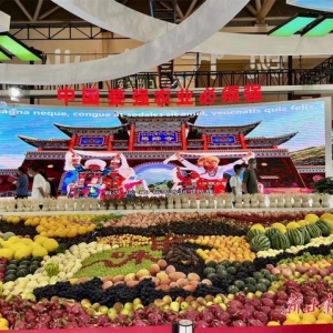 「蘭洽會聚焦」擦亮綠色招牌 護航生態(tài)發(fā)展——甘肅省綠色生態(tài)產(chǎn)業(yè)項目對接聚焦 ...