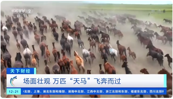 萬匹“天馬”飛奔而過！新疆昭蘇：奔騰駿馬“領跑”現代馬產業(yè) ...