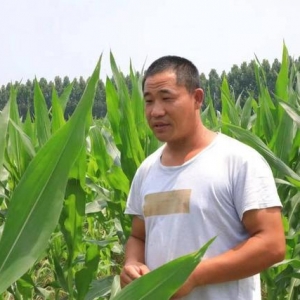太白湖新區(qū)推動(dòng)“齊魯富民貸”，為產(chǎn)業(yè)振興注入金融活水