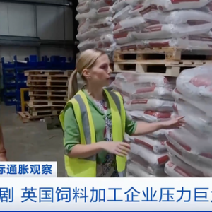 通脹加劇，英國飼料加工企業(yè)壓力巨大！雞肉價(jià)格已上漲25%