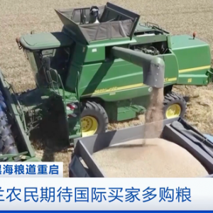 谷物沒有銷路，售價(jià)降至三分之一！烏克蘭農(nóng)民期待國際買家多購糧 ...