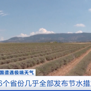 有記錄以來最嚴(yán)重的干旱！法國(guó)96個(gè)省份幾乎全部發(fā)布節(jié)水措施 ...