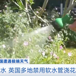 禁用軟水管澆花、洗車！英國(guó)部分地區(qū)旱情嚴(yán)重，出臺(tái)“軟水管禁令” ...